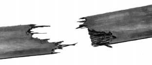 Rupture des cordes de traction